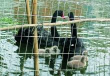 伟德国际victor1946