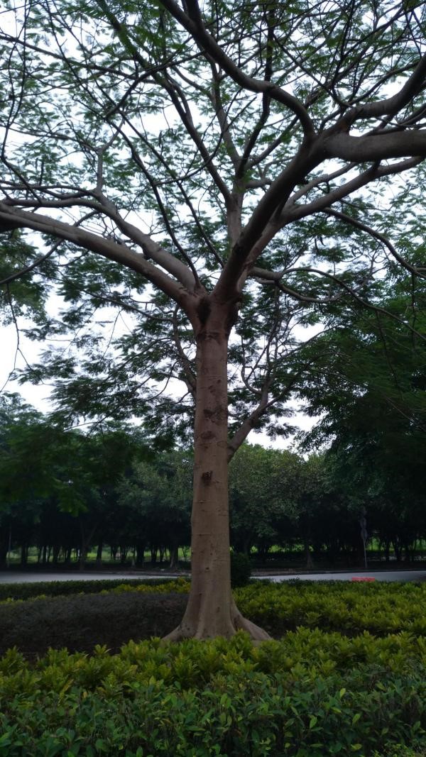 伟德国际victor1946