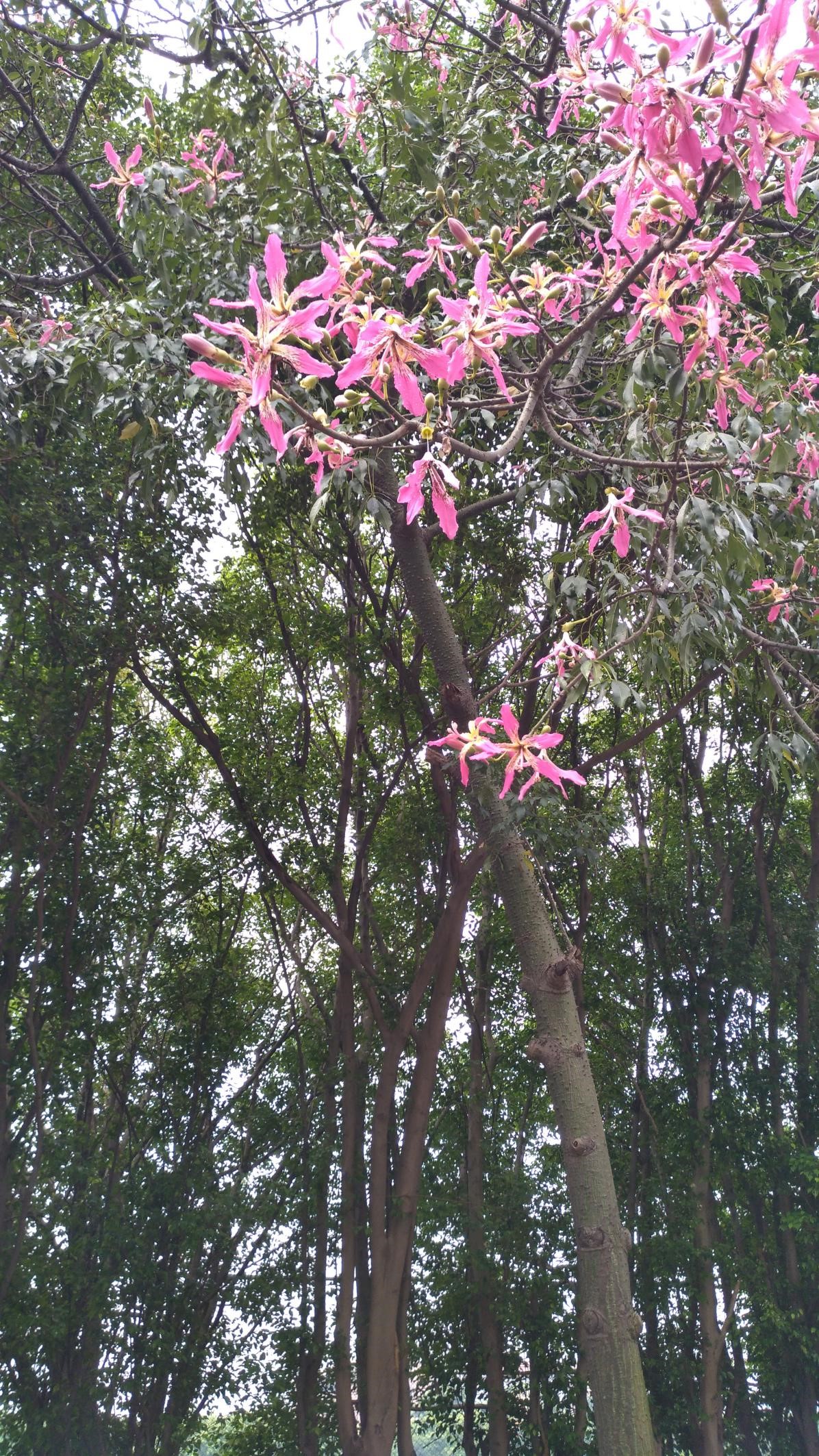 伟德国际victor1946