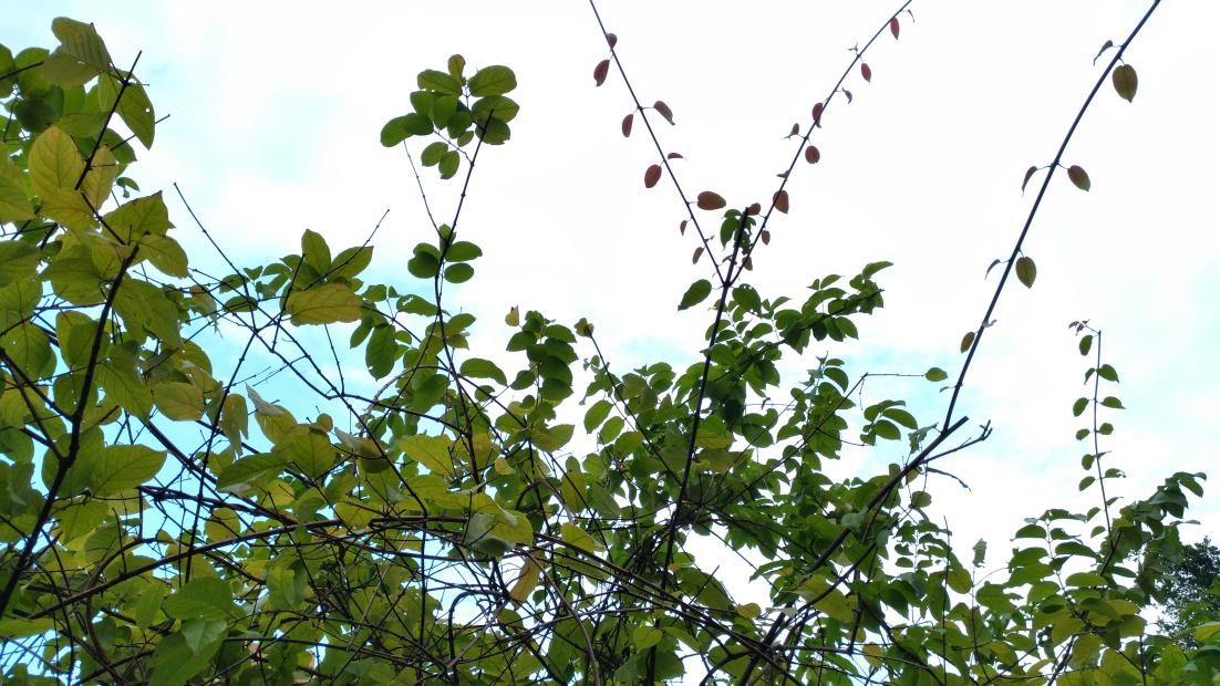 伟德国际victor1946